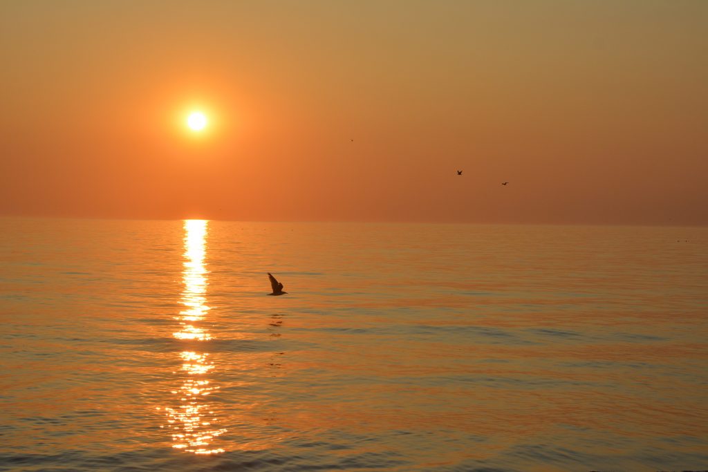 en lun sommeraften ved Vejlby Klit, Vesterhavet (25.08.2019)